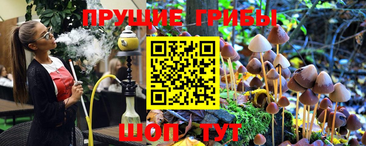 Галлюциногенные грибы прущие грибы Строитель