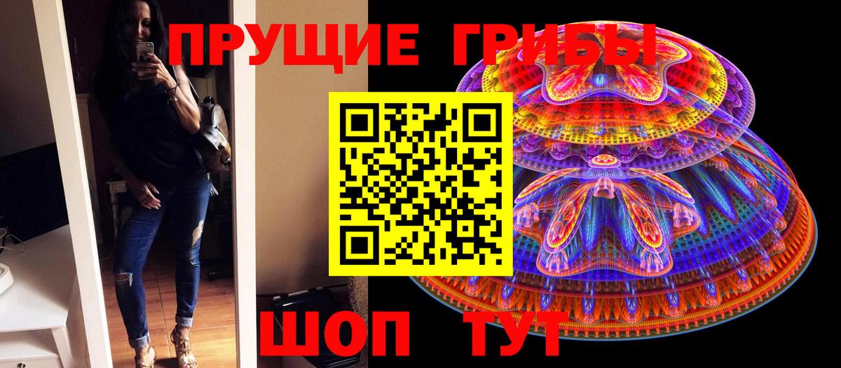 Строитель  Галлюциногенные грибы GOLDEN TEACHER  Вход с VPN 